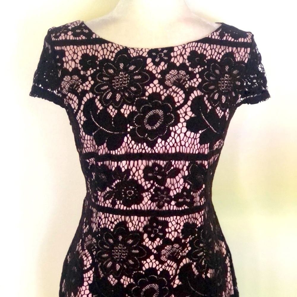eliza j cap sleeve lace dress Eliza J | Dresses | Eliza J Cap Sleeve Lace Shift Dress